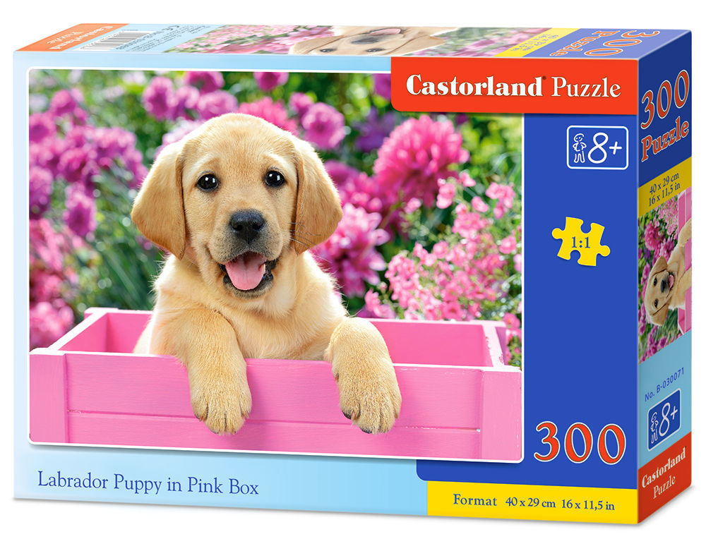 Labrador Puppy in Pink Box,Pu - Castorland  Labrador Puppy in Pink Box,Puzzele 300 T