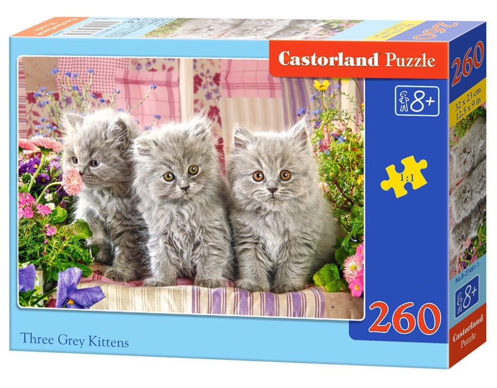 Three Grey Kittens Puzzle 260 - Castorland  Three Grey Kittens, Puzzle 260 Teile
