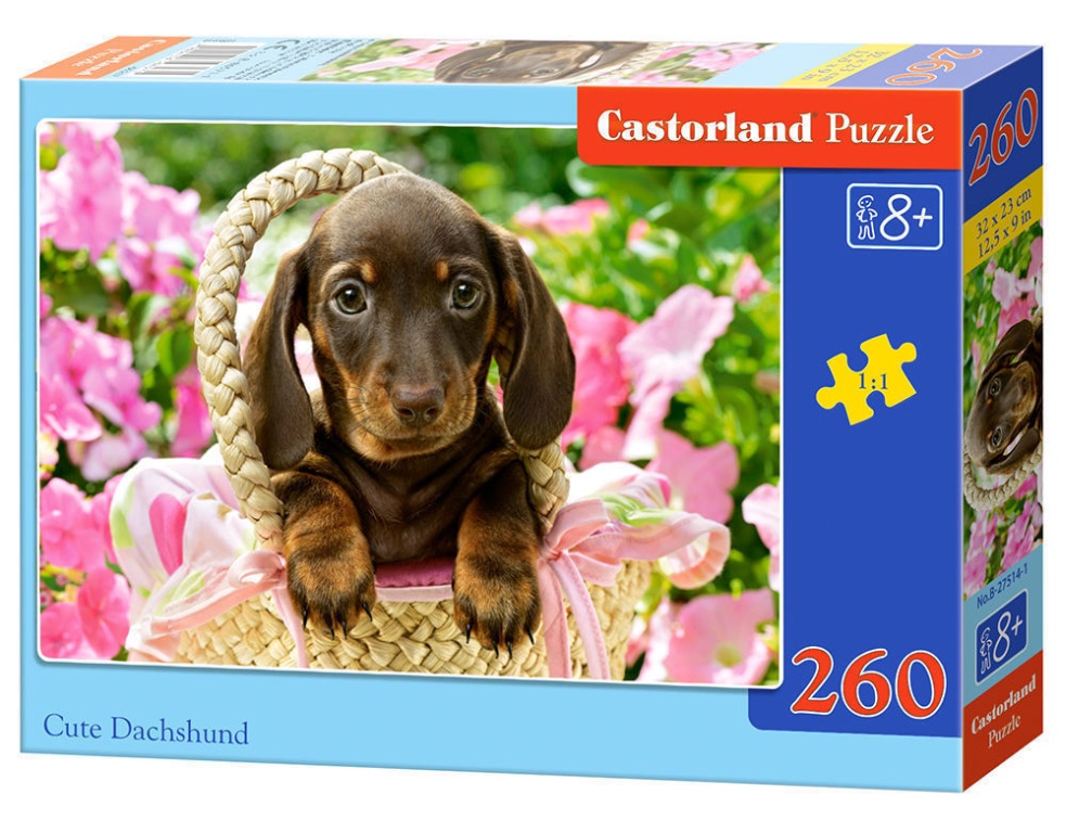 Cute Dachshund, Puzzle 260 Te - Castorland  Cute Dachshund, Puzzle 260 Teile